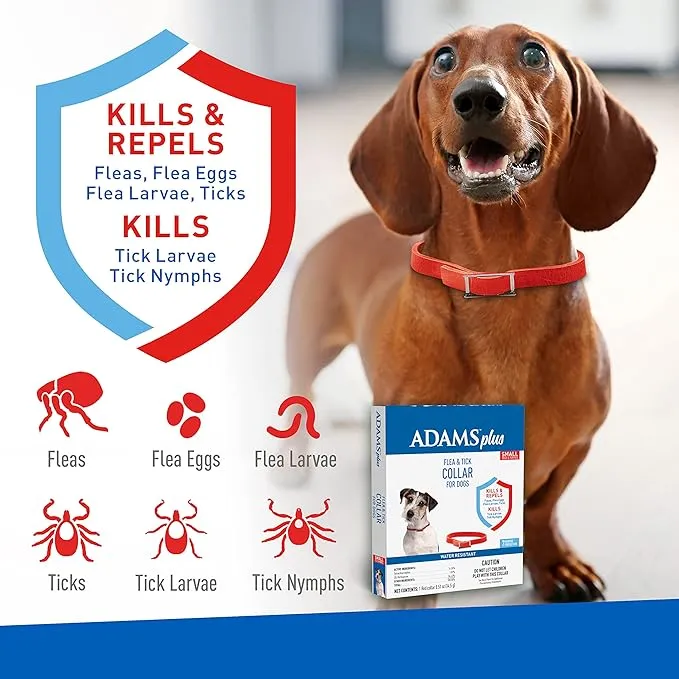 Adams Plus Dog Flea & Tick Collar