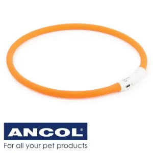 Ancol Hi-Vis Night Safety Neck Band Orange