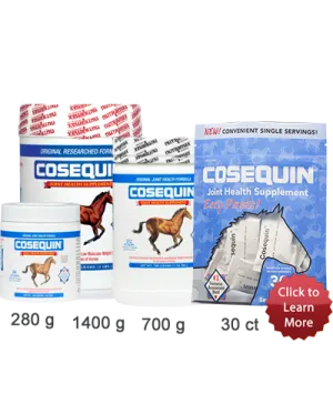 Cosequin Joint Health