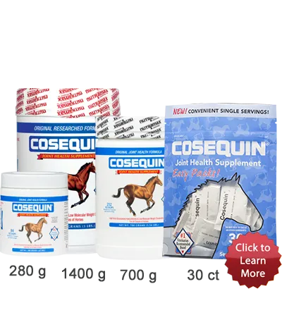 Cosequin Joint Health