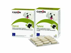 Hybrid Tablets