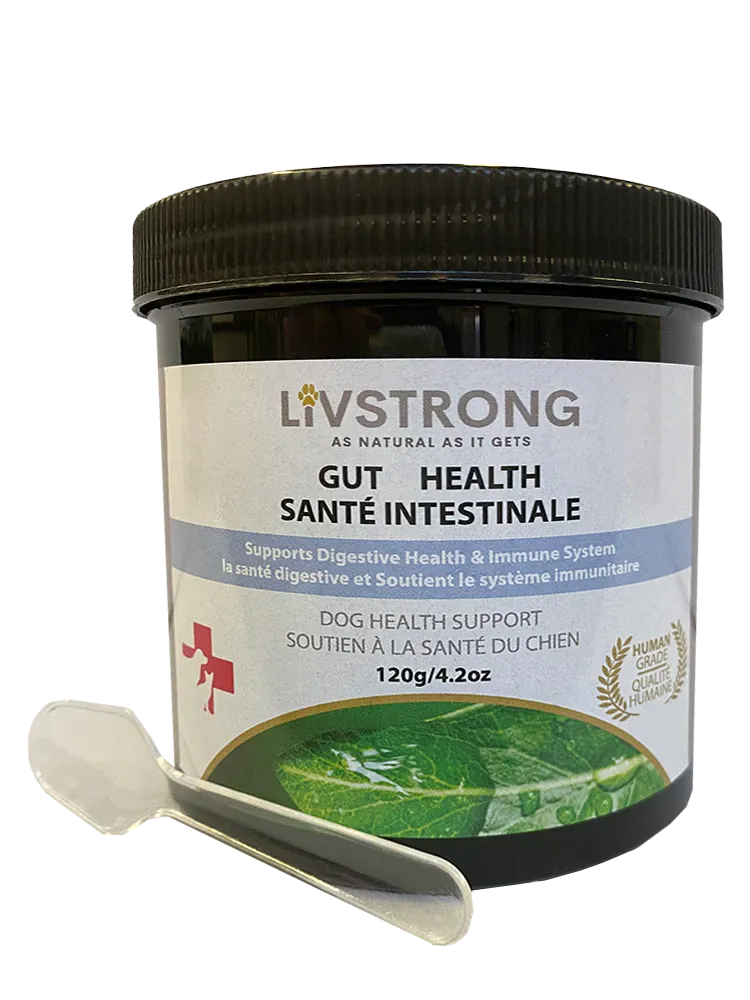 Livstrong Gut Health 120g