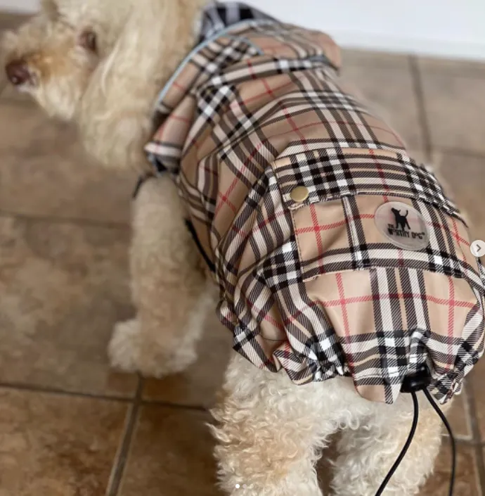 Raincoat | Bias Plaid Tan