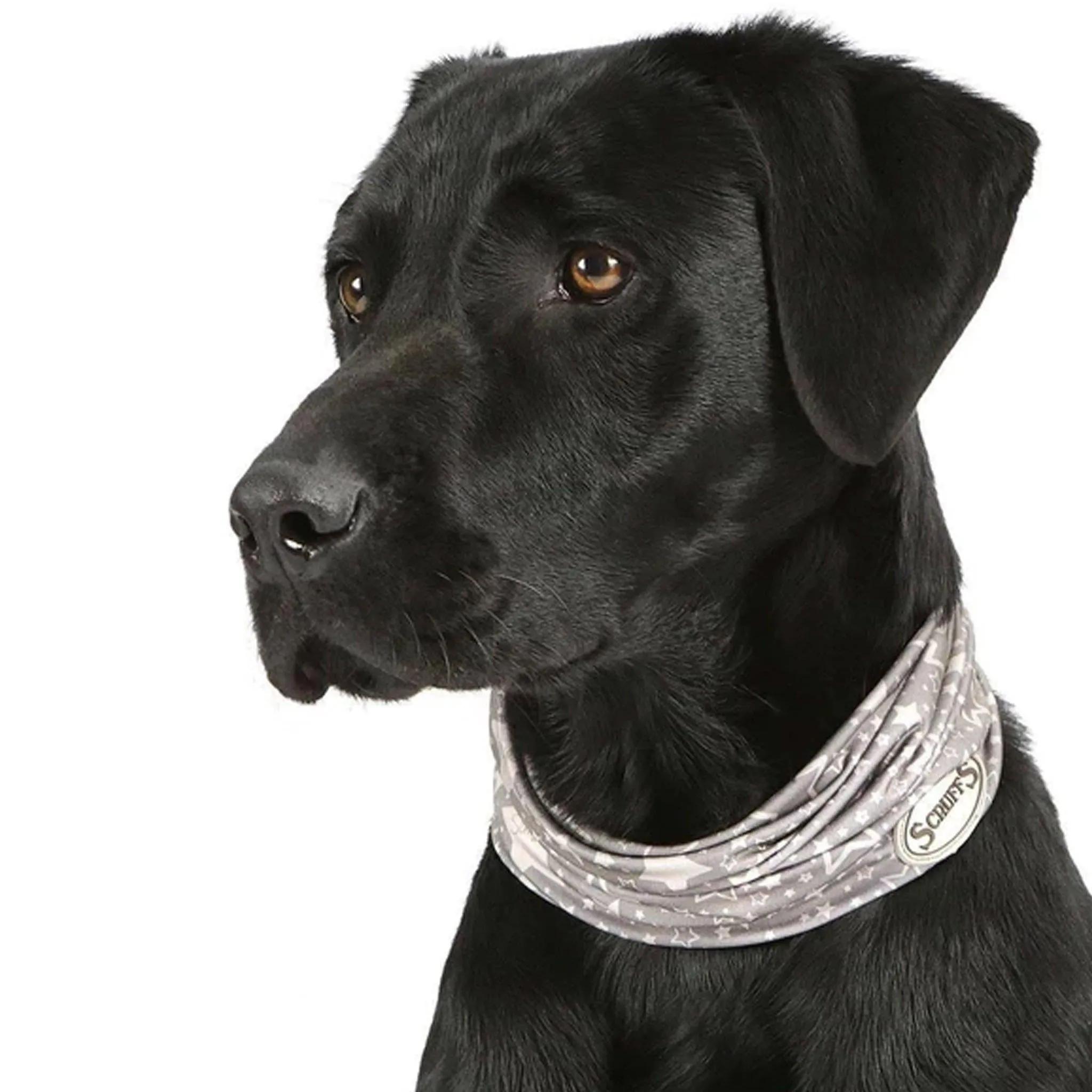 Scruffs - Insect Shield® Doggy Snood