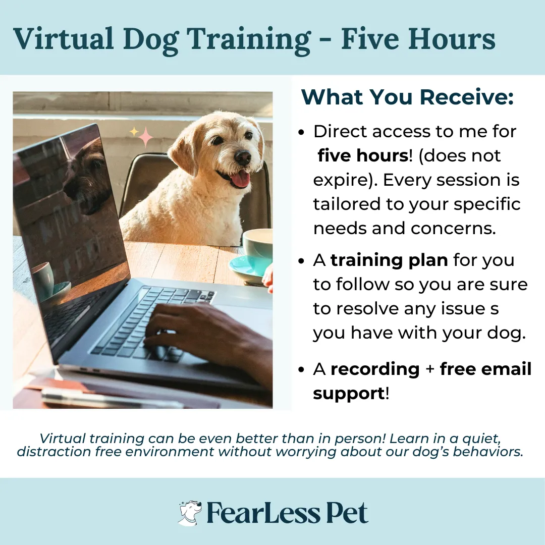 Virtual Dog Training