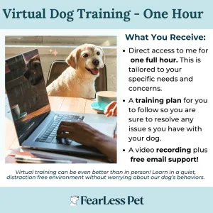 Virtual Dog Training