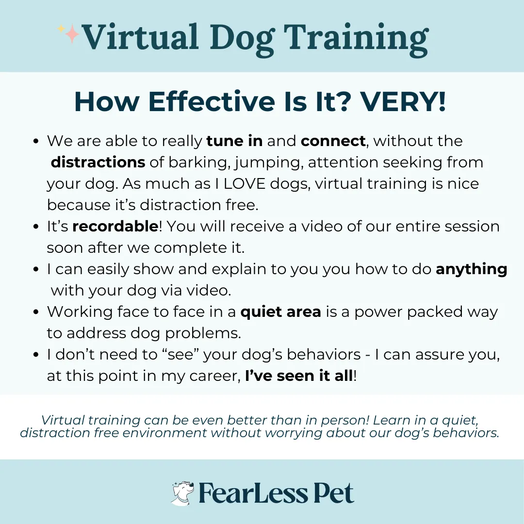 Virtual Dog Training