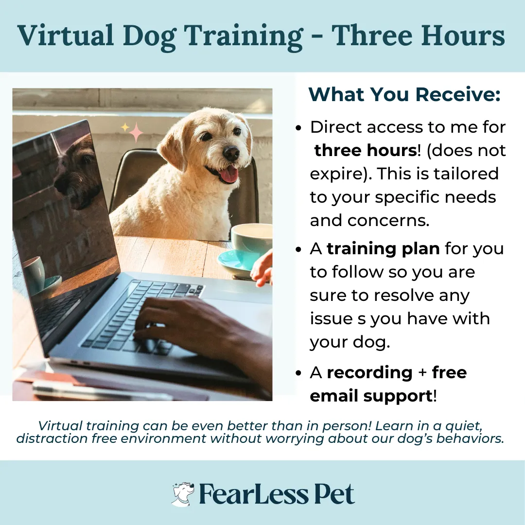 Virtual Dog Training